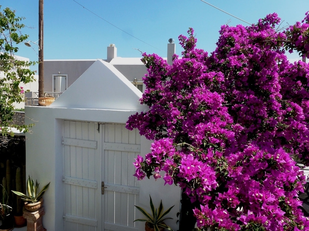 Imagen general del Hotel Bougainvillea Suites. Foto 2