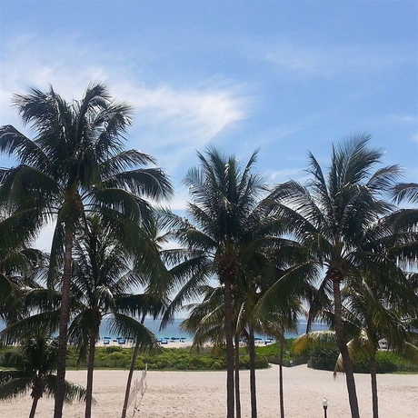 Imagen general del Hotel Boulevard, Miami Beach . Foto 2