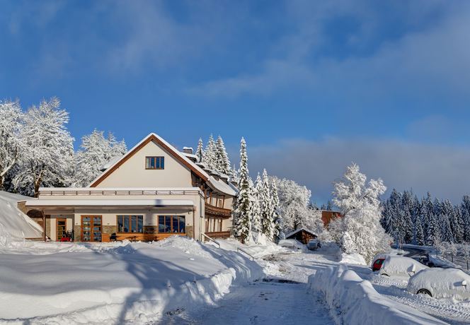 Imagen general del Hotel Bödele Alpenhotel. Foto 5