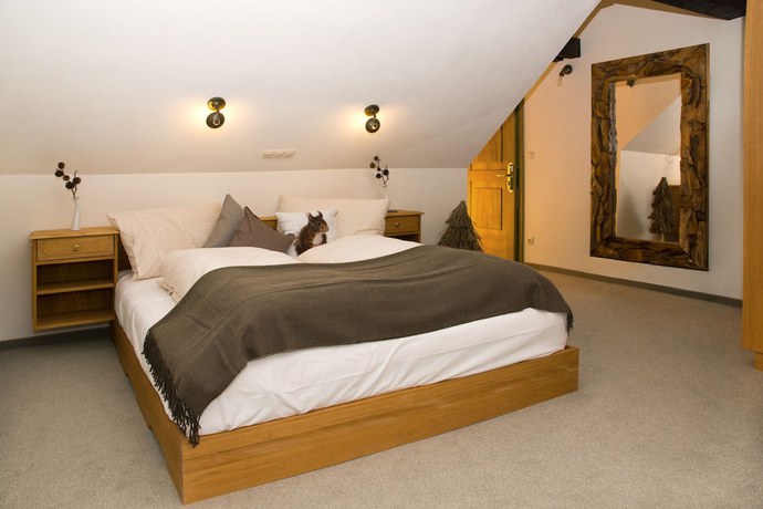 Imagen de la habitación del Hotel Bödele Alpenhotel. Foto 17