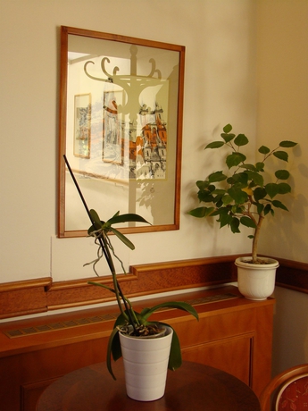 Imagen de los interiores del Hotel Boutique 16. Foto 15