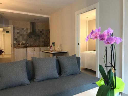 Imagen general del Hotel Boutique Albussanluis. Foto 7