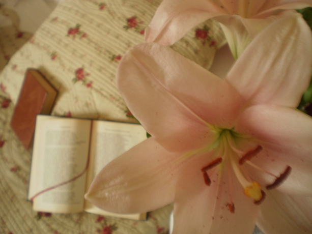 Imagen de la habitación del Hotel Boutique Alicia Carolina. Foto 6