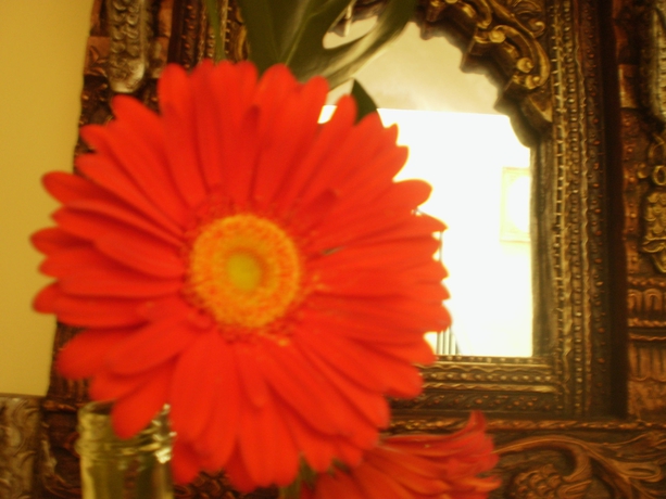 Imagen de los interiores del Hotel Boutique Alicia Carolina. Foto 14