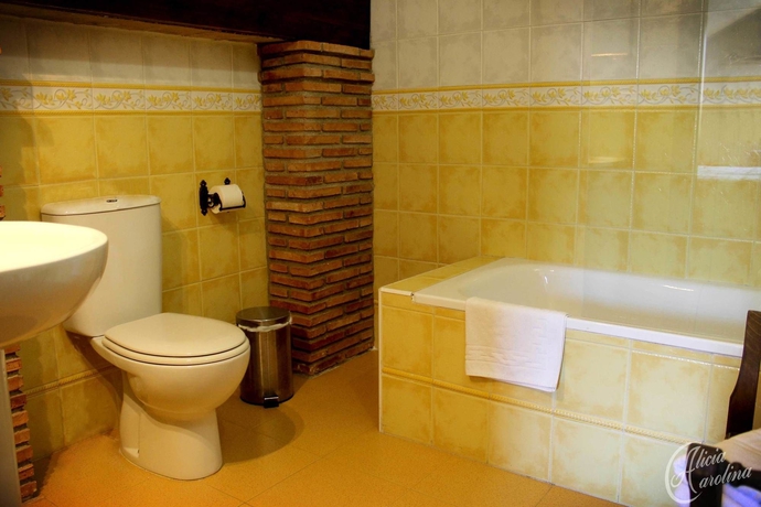 Imagen de la habitación del Hotel Boutique Alicia Carolina. Foto 9