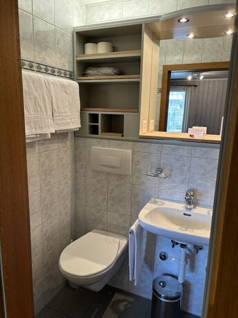 Imagen general del Hotel Boutique Alpina. Foto 13