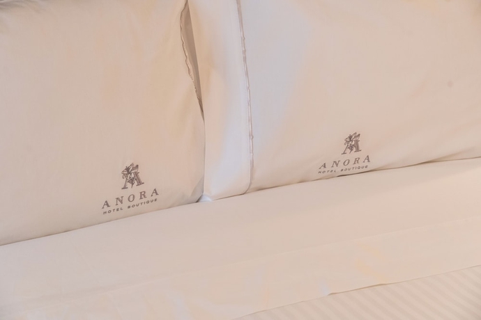 Imagen general del Hotel Boutique Anora. Foto 1