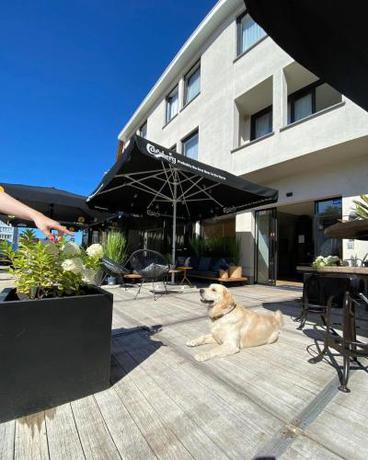 Imagen general del Hotel Boutique Azur. Foto 11