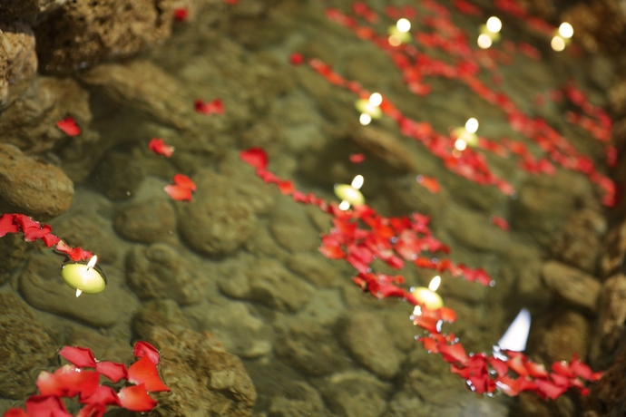 Imagen del bar/restaurante del Hotel Boutique Bol. Foto 4