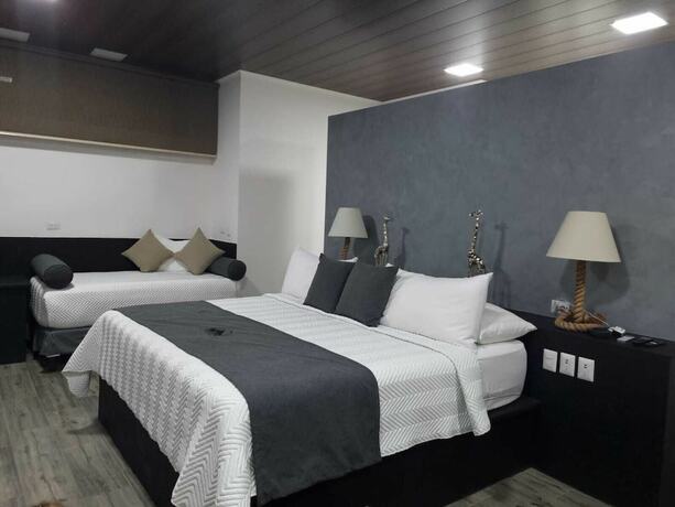 Imagen de la habitación del Hotel Boutique Casa Del Rio. Foto 11