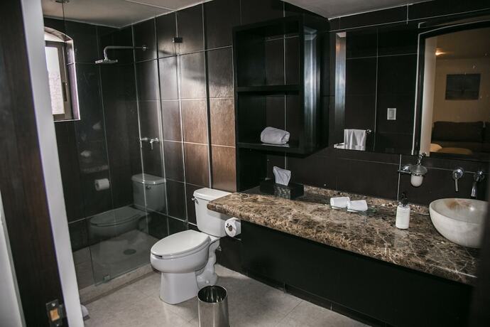 Imagen de la habitación del Hotel Boutique Casa Diamante Mineral de Pozos. Foto 17