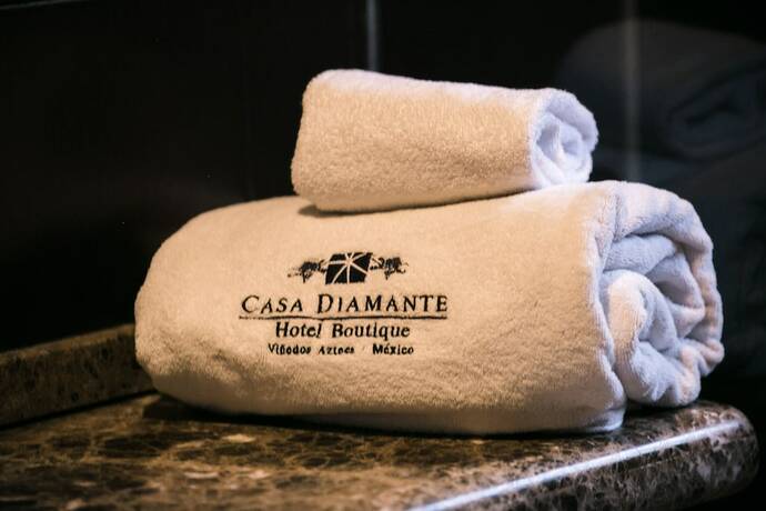 Imagen general del Hotel Boutique Casa Diamante Mineral de Pozos. Foto 12