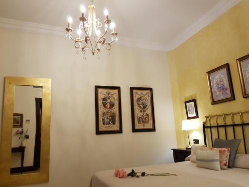 Imagen de la habitación del Hotel Boutique Casa Veracruz. Foto 6