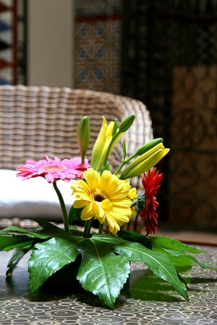 Imagen de los interiores del Hotel Boutique Casas De Santa Cruz. Foto 5