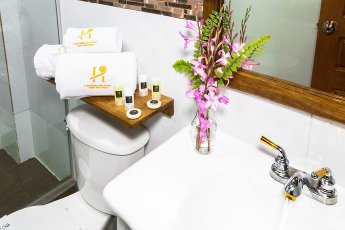 Imagen de la habitación del Hotel Boutique Castilla de Leon. Foto 6