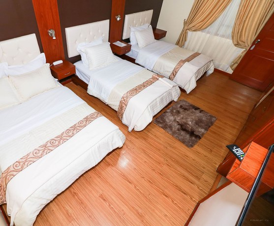 Imagen de la habitación del Hotel Boutique Castilla de Leon. Foto 12