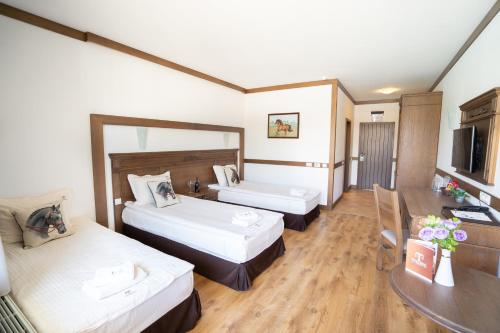 Imagen de la habitación del Hotel Boutique Complex Trakiets. Foto 19