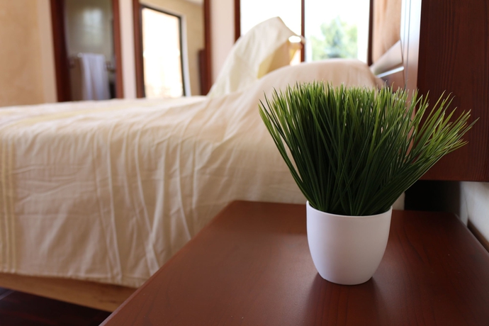 Imagen de la habitación del Hotel Boutique El Jaguar. Foto 9