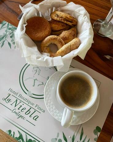 Imagen general del Hotel Boutique Finca de la Niebla Coatepec. Foto 2