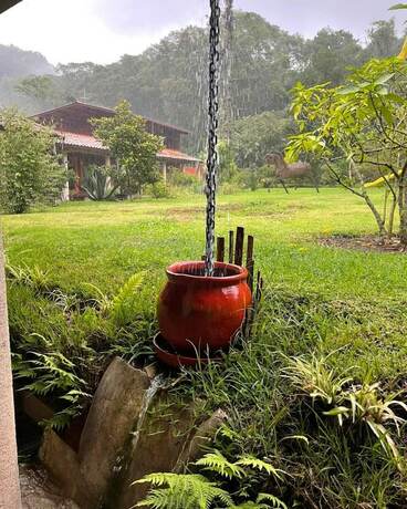 Imagen general del Hotel Boutique Finca de la Niebla Coatepec. Foto 12