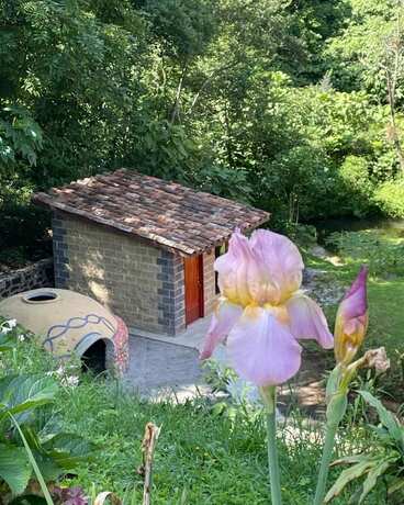 Imagen general del Hotel Boutique Finca de la Niebla Coatepec. Foto 14