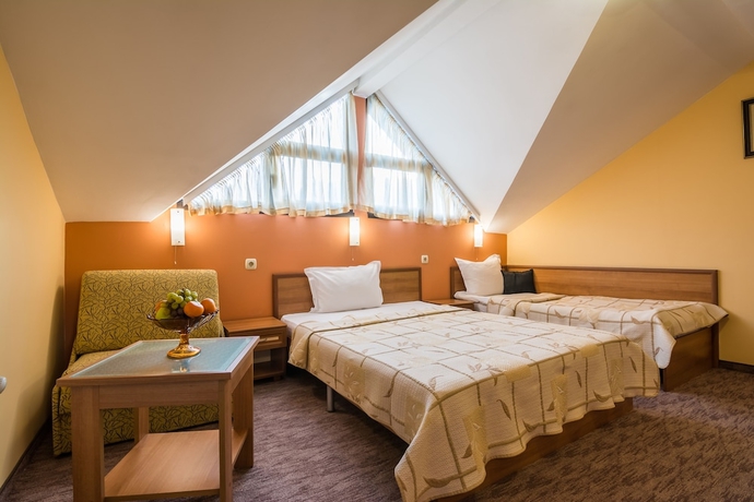 Imagen de la habitación del Hotel Boutique Guest House Ikonomov. Foto 18