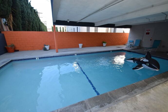 Imagen general del Hotel Boutique Hollywood. Foto 8