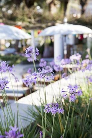 Imagen general del Hotel Boutique Ibizazen. Foto 7