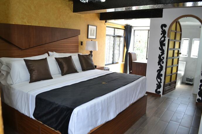 Imagen general del Hotel Boutique La Mansion Guadalajara. Foto 8