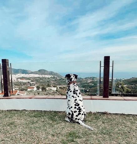 Imagen general del Hotel Boutique La Posada Morisca. Foto 8