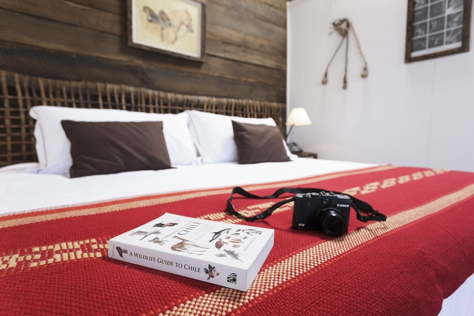 Imagen de la habitación del Hotel Boutique La Yegua Loca. Foto 11