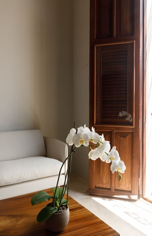 Imagen de la habitación del Hotel Boutique Las Lupitas. Foto 2