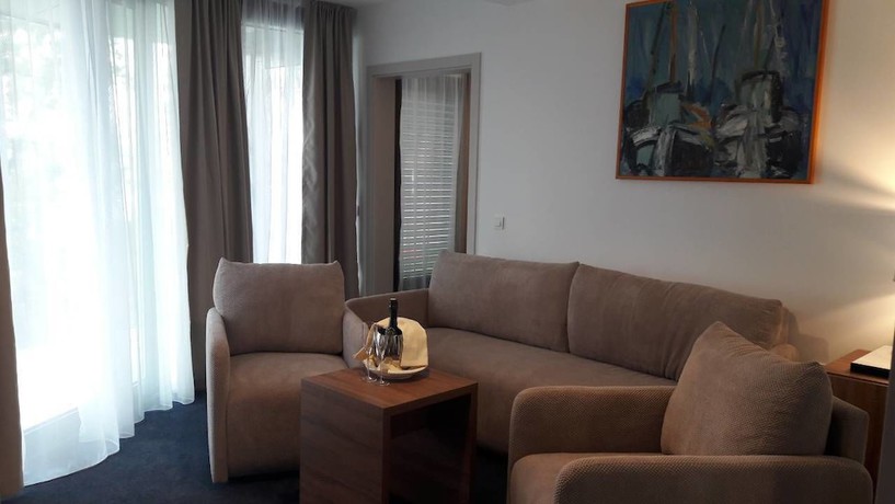 Imagen de la habitación del Hotel Boutique Mali Raj. Foto 18