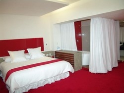 Imagen de la habitación del Hotel Boutique Mexico Plaza Aguascalientes. Foto 4