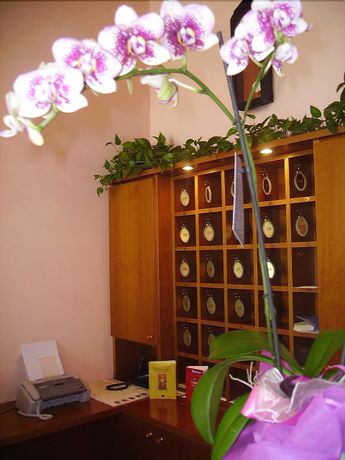 Imagen de los interiores del Hotel Boutique Municipio 1815. Foto 19