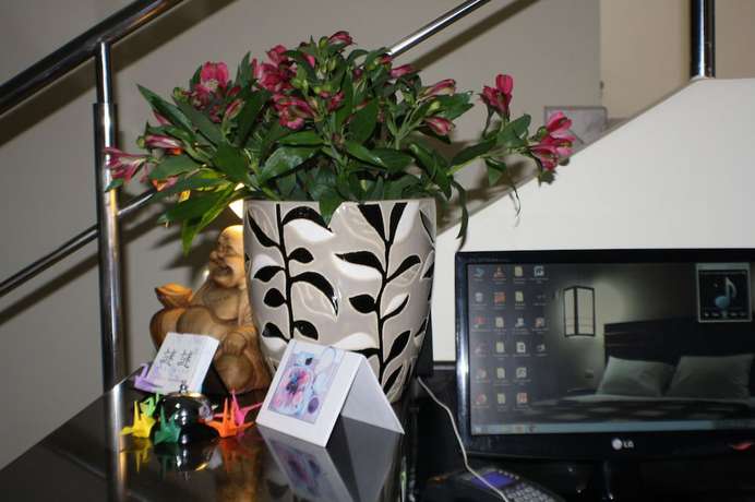 Imagen de los interiores del Hotel Boutique Nazo. Foto 16