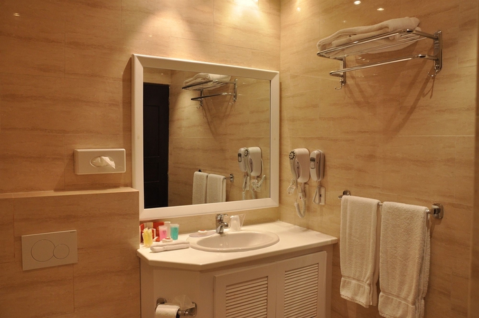 Imagen de la habitación del Hotel Boutique Palacio. Foto 6