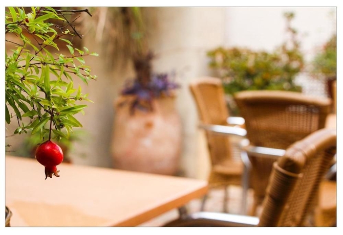 Imagen de los interiores del Hotel Boutique Puerta De Las Granadas. Foto 13