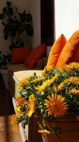 Imagen de los interiores del Hotel Boutique Puerta del Rincón. Foto 16