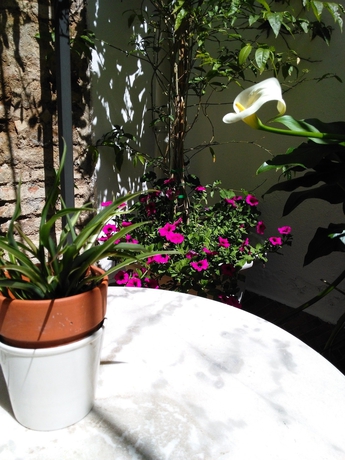 Imagen de los interiores del Hotel Boutique Puerta del Rincón. Foto 19