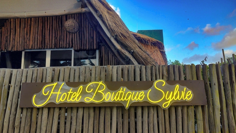Imagen de los interiores del Hotel Boutique Sylvie. Foto 16