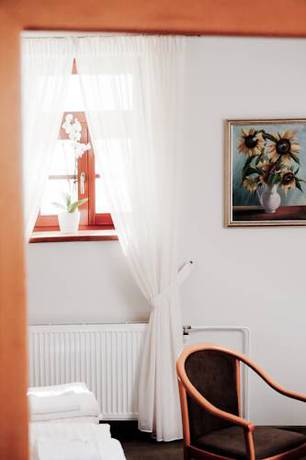 Imagen de la habitación del Hotel Boutique U Soln&eacute; Br&aacute;ny. Foto 8