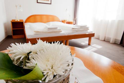 Imagen de la habitación del Hotel Boutique U Soln&eacute; Br&aacute;ny. Foto 10