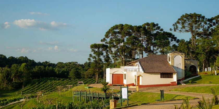 Imagen general del Hotel Boutique Vin&iacute;cola Arauc&aacute;ria by Slaviero Hot&eacute;is. Foto 13