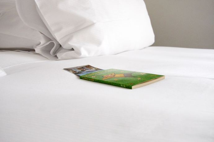 Imagen de la habitación del Hotel Boutique Waldhaus beider Basel. Foto 5