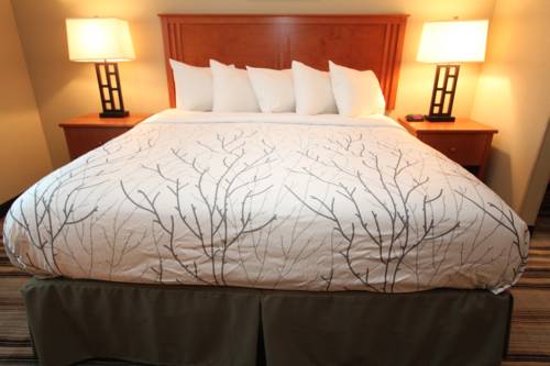 Imagen de la habitación del Hotel Bowman Lodge and Convention Center. Foto 1
