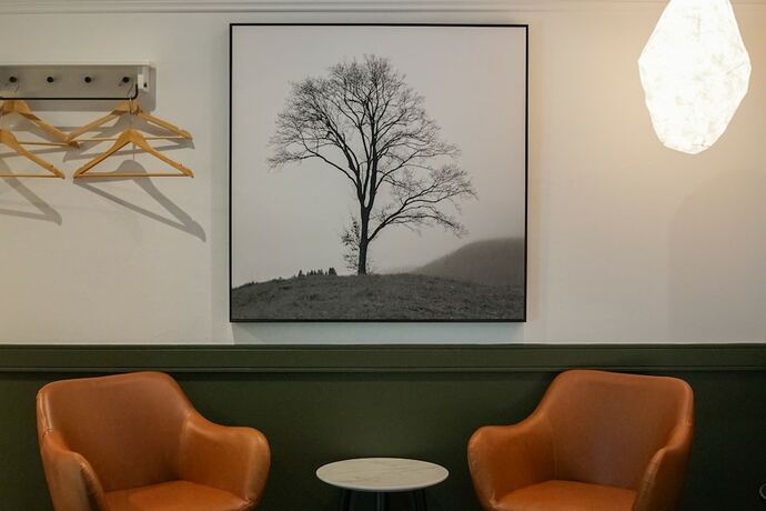 Imagen general del Hotel Bowral Boutique Motel. Foto 3