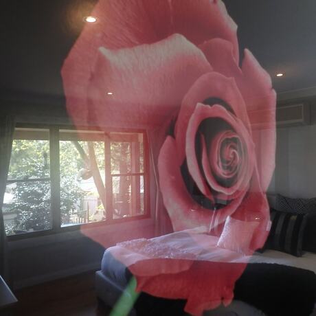Imagen general del Hotel Bowral Road Bed and Breakfast. Foto 1