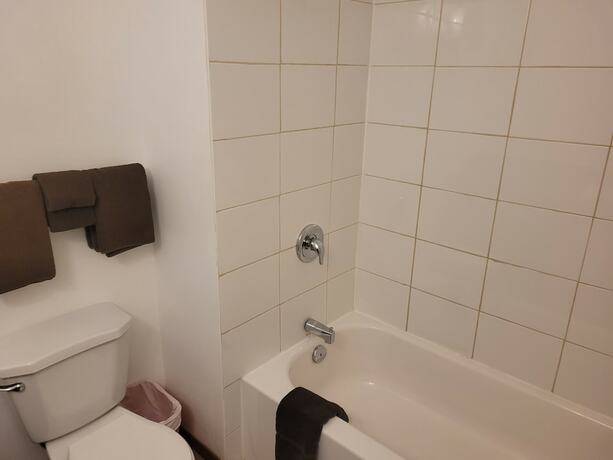 Imagen general del Hotel Boyle Motor Inn. Foto 4