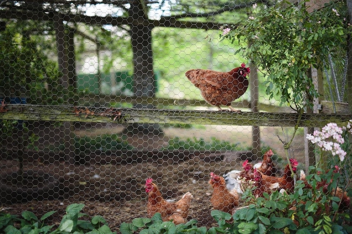 Imagen de los interiores del Hotel Braeside Mt Macedon Country Retreat and Bed and Breakfast. Foto 17